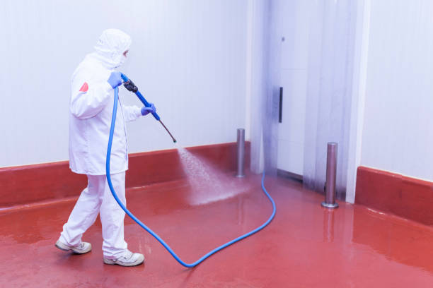 Best Soft Washing  in Redkey, IN